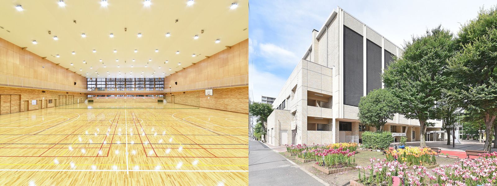 蕨 市民 体育館